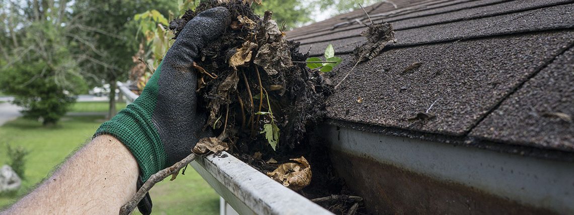 Gutter Cleaning Professionals- Louisville Kentucky